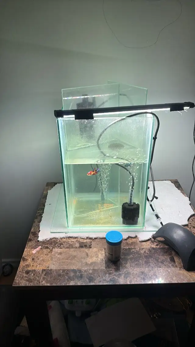 aquarium rebuilt