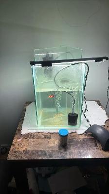 aquarium rebuilt