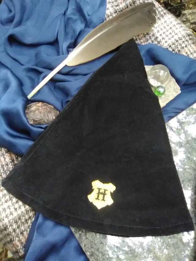 ⚡KID'S and COLLECTOR'S CORNER!!⚡ Official Harry Potter Hat