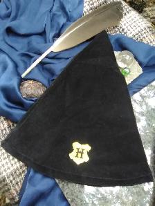 ⚡KID'S and COLLECTOR'S CORNER!!⚡ Official Harry Potter Hat