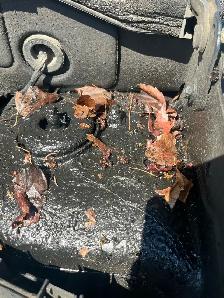 Jeep Patriot 2007 - Photo 10