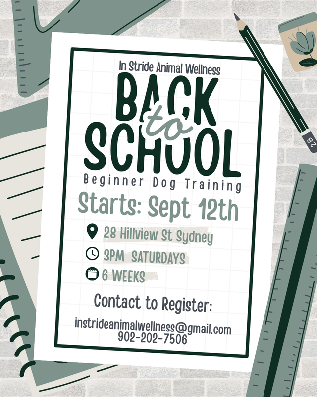 Dog Training Classes