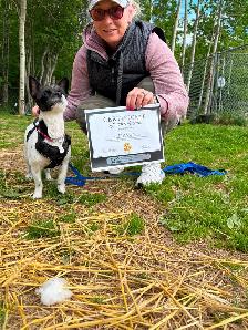 Dog Training Classes - Photo 3