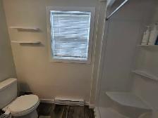 3 bed 2 Full Bath 2021 Prestige Mini Home - Photo 3