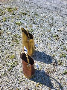 Antique Coal Scuttles
