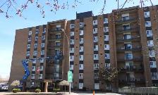 141 Dundas St W