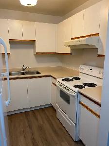 141 Dundas St W - Photo 2
