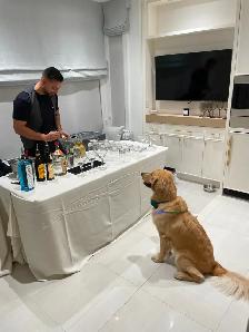 Private Bartender/Mixologist for hire - Photo 2