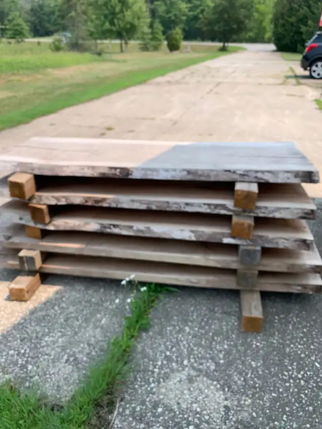Black Walnut Slabs and Boards