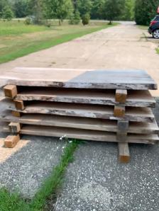 Black Walnut Slabs and Boards