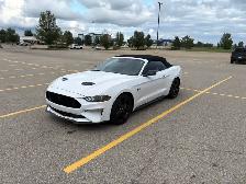 2021 Ford Mustang GT Premium - Photo 2