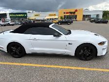 2021 Ford Mustang GT Premium - Photo 4