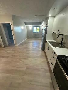 1 Bedroom Apartment Available September in Minnow Lake Area - Photo 2