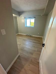 1 Bedroom Apartment Available September in Minnow Lake Area - Photo 7