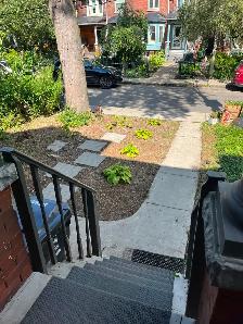 Annex 2Bed Basement Apartment by Bathurst subway - Photo 10