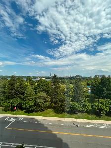 Fully furnished Condo all inclusive / a louer tout inclus - Photo 6