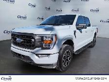 2023 Ford F-150 XLT Sport 302A à vendre