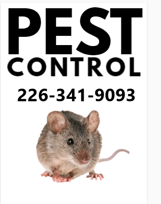 Pest control BED BUGS, COCKROACHES, RATS, MICE 416-316-4987