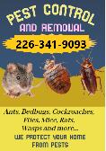 Pest control BED BUGS, COCKROACHES, RATS, MICE 416-316-4987 - Photo 2