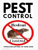 Pest control BED BUGS, COCKROACHES, RATS, MICE 416-316-4987 - Photo 3