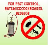 Pest control BED BUGS, COCKROACHES, RATS, MICE 416-316-4987 - Photo 4
