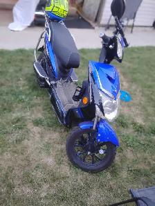 Emmo Hornet Sport $1,200 or best offer.