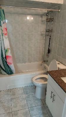 One bedroom Room for rent in Two Bedroom Basement - Photo 10