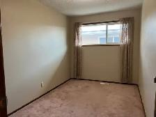 3 Bed 1 Bath Unit in Olds, AB - Photo 4