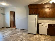 3 Bed 1 Bath Unit in Olds, AB - Photo 5