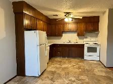 3 Bed 1 Bath Unit in Olds, AB - Photo 6