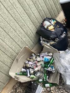 Free, Free Empties in Honeywood - Photo 2