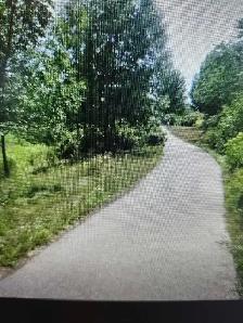 Room for rent in South Guelph - Photo 4