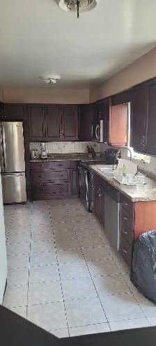 Room for rent in South Guelph - Photo 9