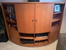 RETRO Beautiful Teak Entertainment Unit