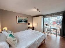 House for rent with apartment / Maison à louer avec appartement - Photo 10