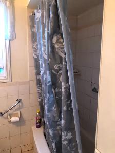 Main Floor Unit 4 Rooms Bungalow House in Scarborough for Rent - Photo 7