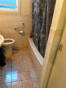 Main Floor Unit 4 Rooms Bungalow House in Scarborough for Rent - Photo 8