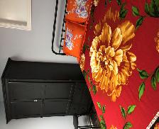 Gorgeous and Beautiful Basement Room in Pickering for Rent - Photo 3
