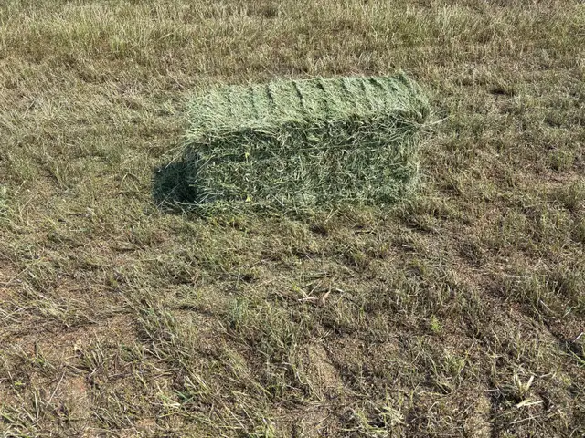 small square hay