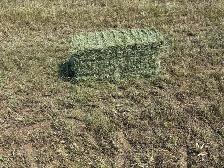 small square hay