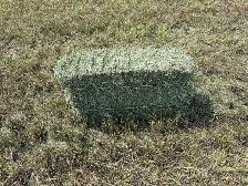 small square hay - Photo 2