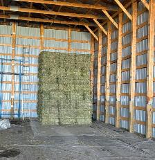 small square hay - Photo 4