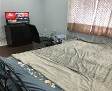 Furnished Room for Rent in Pickering (Daily/Weekly Payment)Are