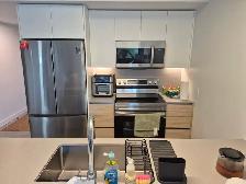 1 Bed 1 Bath Sublet - 380 Osborne (Don Togo) Available Sept 15 - Photo 3