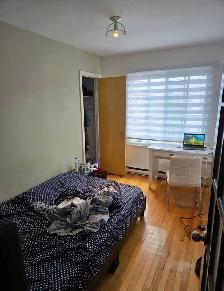 Chambre à louer - Photo 2
