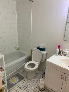 4 1/2 à louer dans Ahuntsic 1274$ / mois - Photo 6