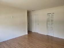 Independent Detached House for Rent in Malton (Mississauga) - Photo 6