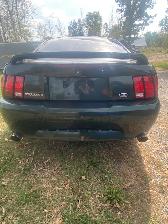 2001 Ford Mustang Bullitt GT - Photo 2