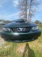 2001 Ford Mustang Bullitt GT - Photo 3