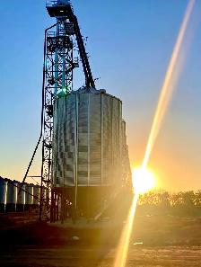 Agricultural Labourer Grain Farm